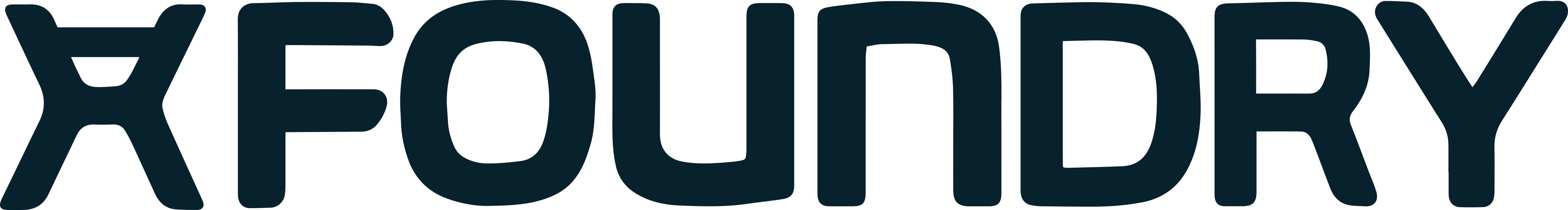 xFoundry Logo